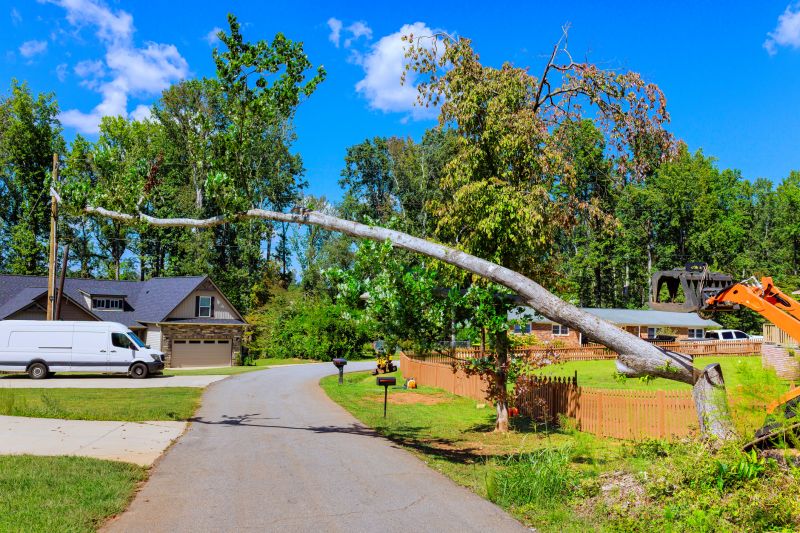 Cost of Fallen Tree Removal in Peachtree City, GA