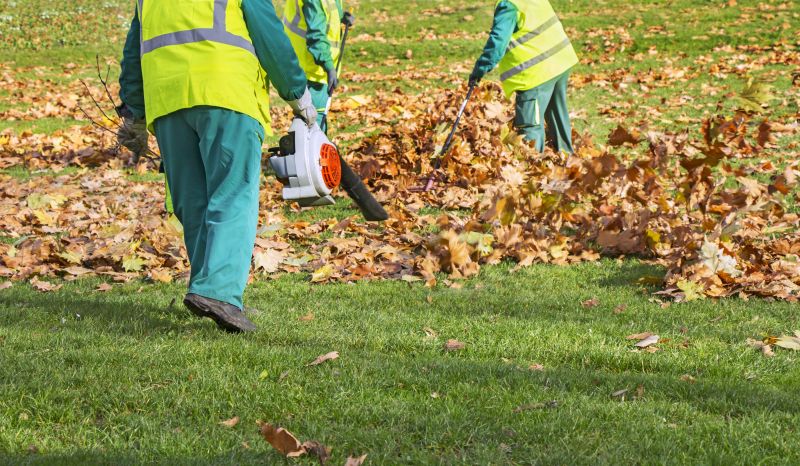Leaf Collection and Disposal