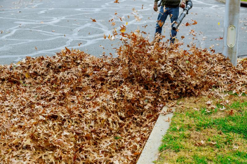 Seasonal Leaf Management