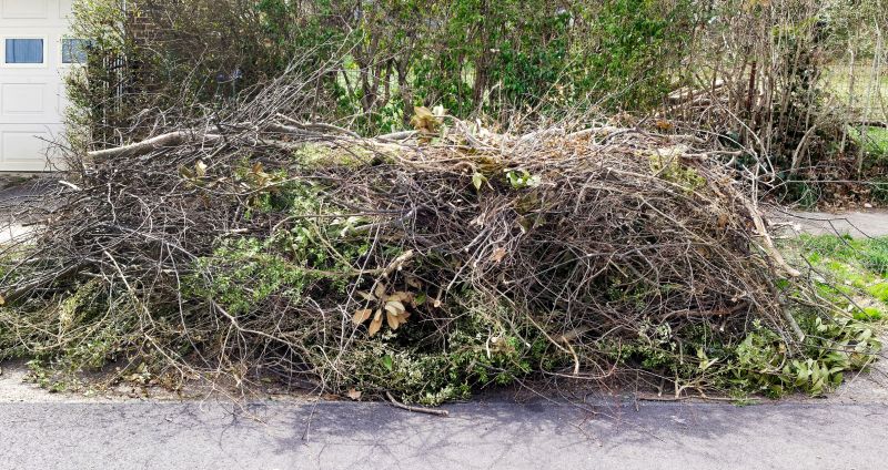 Clearing Fallen Tree Debris