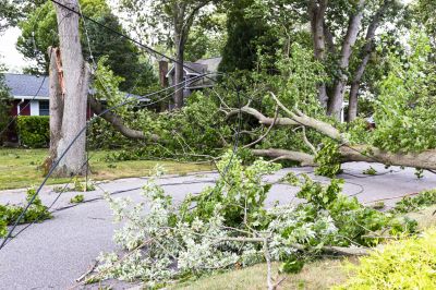 Property Restoration