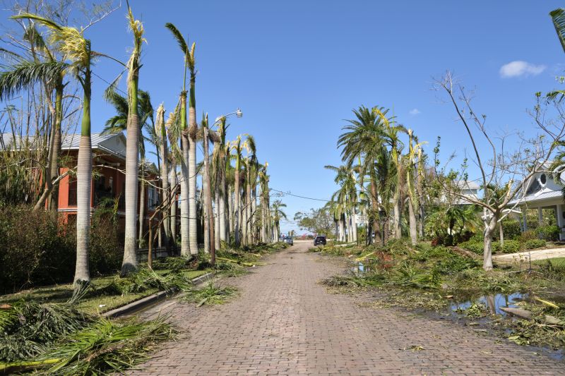 Storm Damage Scene