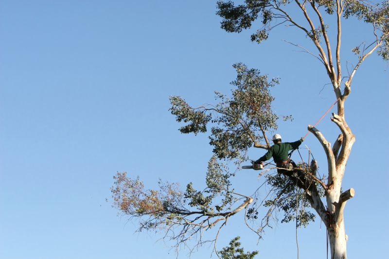 Climbing and Cutting